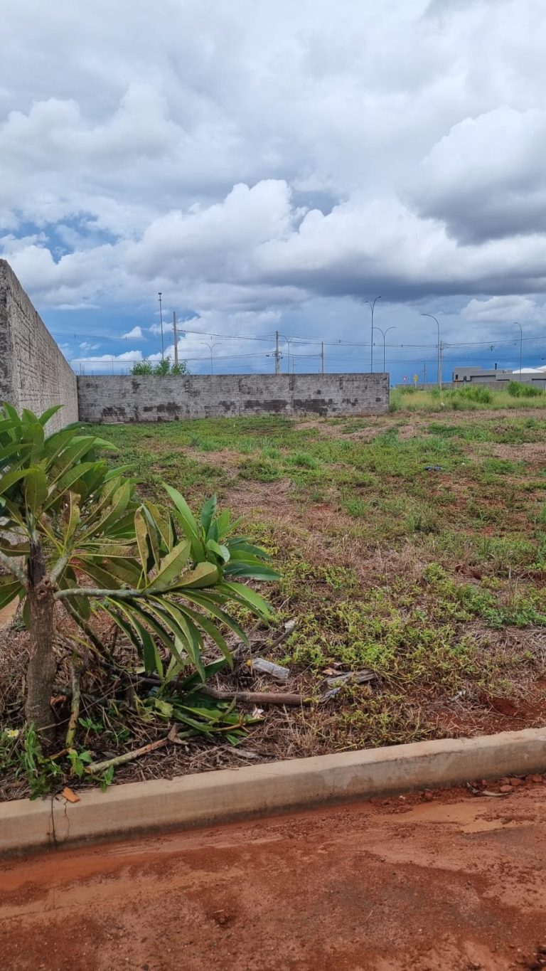 WhatsApp-Image-2026-03-27-at-16.52.19-1