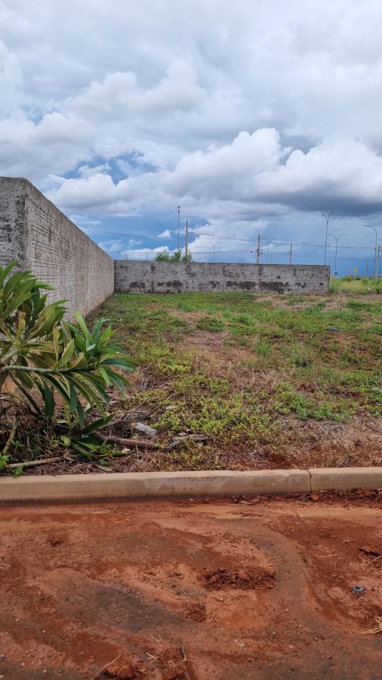 WhatsApp-Image-2026-03-27-at-16.52.21-1-1