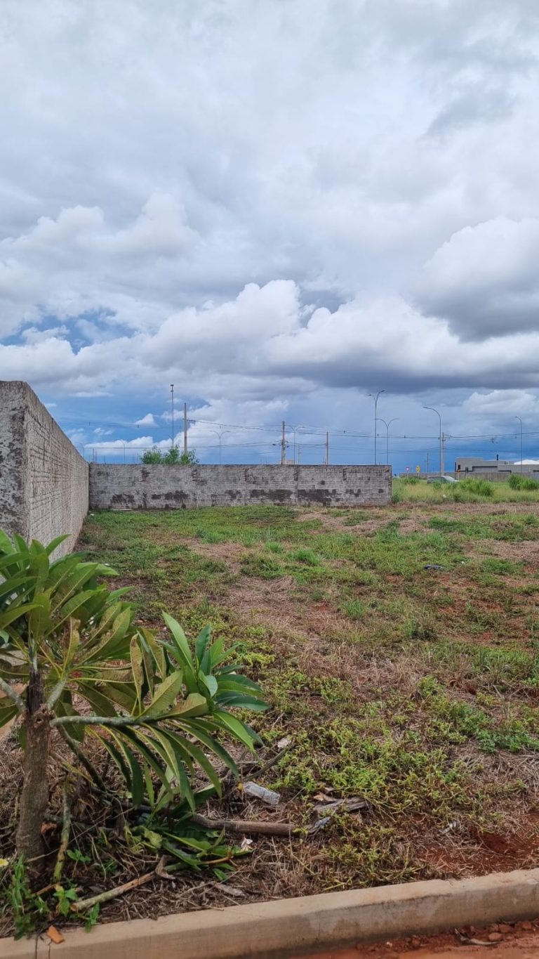 WhatsApp-Image-2026-03-27-at-16.52.21